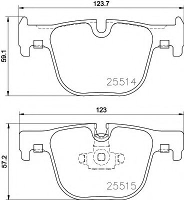 PAGID T2165