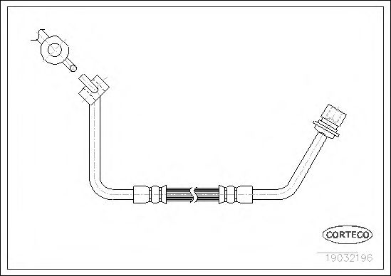 CORTECO 19032196