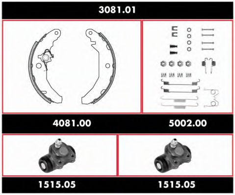 REMSA 3081.01