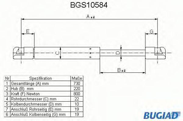 BUGIAD BGS10584