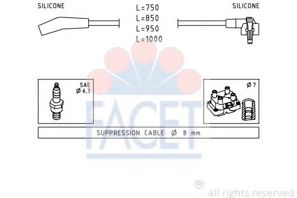 FACET 4.9639