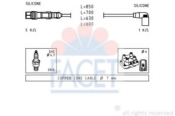 FACET 4.9601