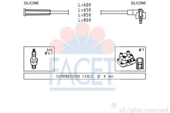 FACET 4.9007