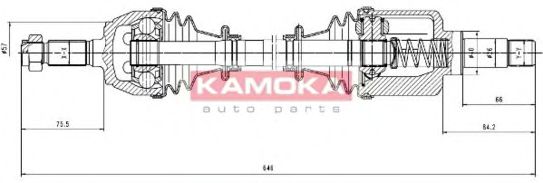 KAMOKA CT1138933