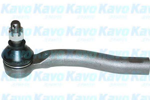 KAVO PARTS STE-9004