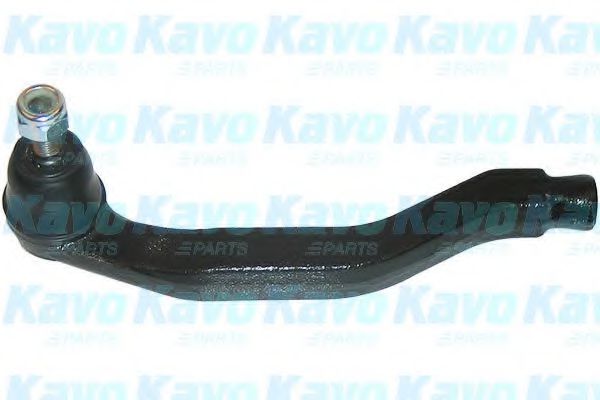 KAVO PARTS STE-2031