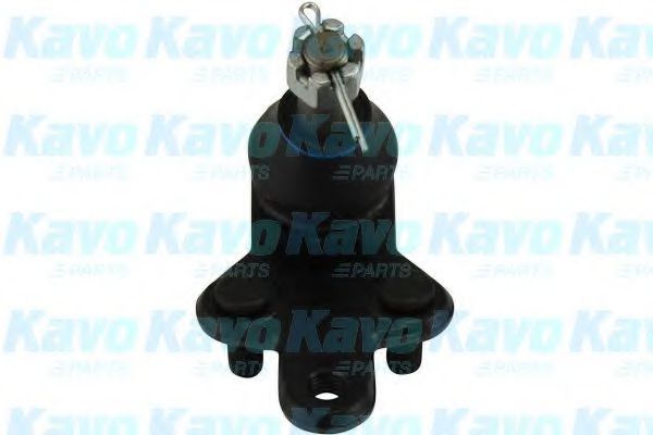 KAVO PARTS SBJ-9009