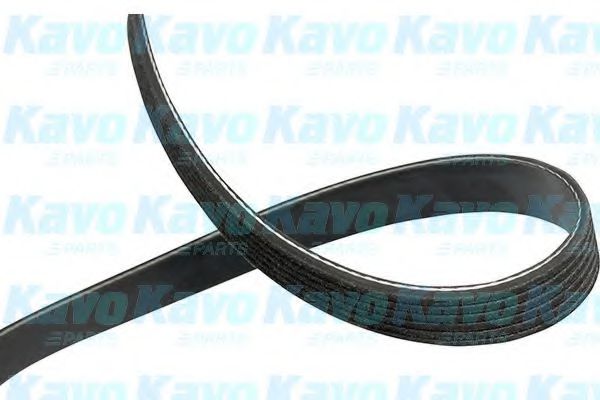 KAVO PARTS DMV-3028