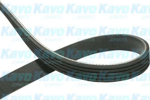 KAVO PARTS DMV-1008