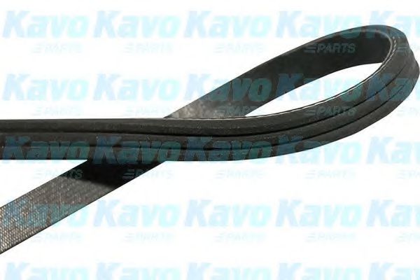 KAVO PARTS DMV-9008