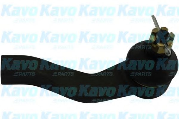 KAVO PARTS STE-8010