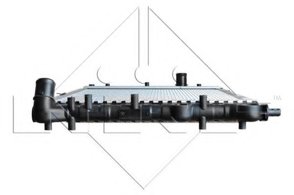 NRF 58202