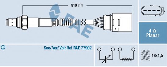 FAE 77406