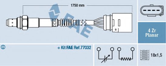 FAE 77905