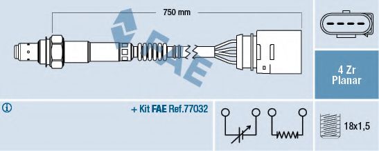 FAE 77909