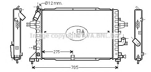 AVA QUALITY COOLING OLA2383