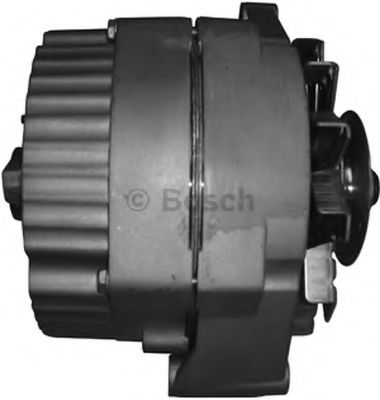 BOSCH F 042 300 007