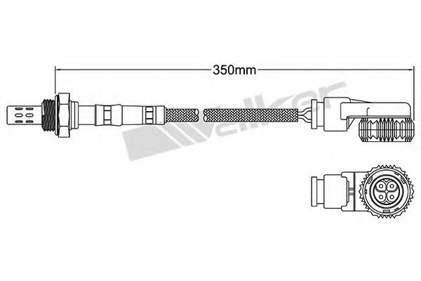 WALKER PRODUCTS 250-24038