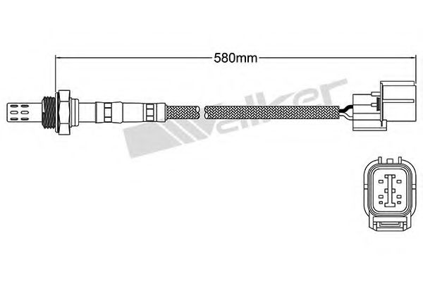 WALKER PRODUCTS 250-24498