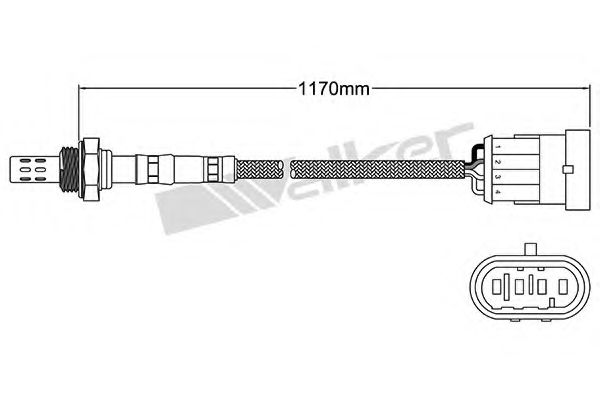 WALKER PRODUCTS 250-24530