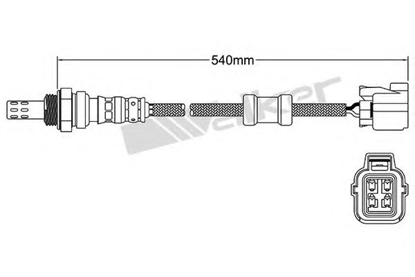 WALKER PRODUCTS 250-24429