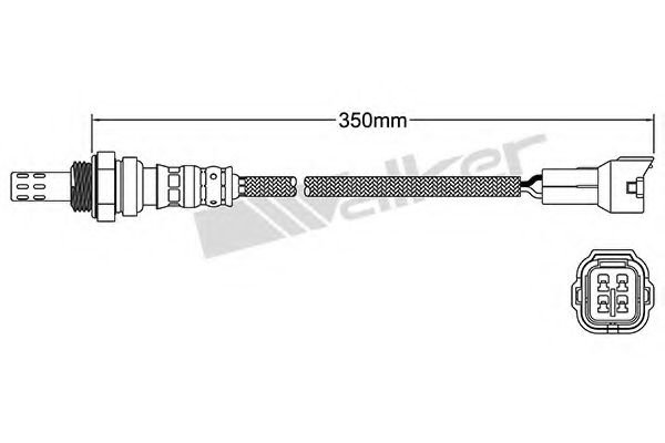 WALKER PRODUCTS 250-24372