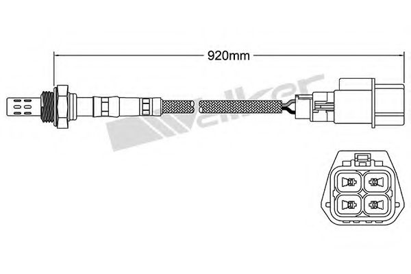 WALKER PRODUCTS 250-24284