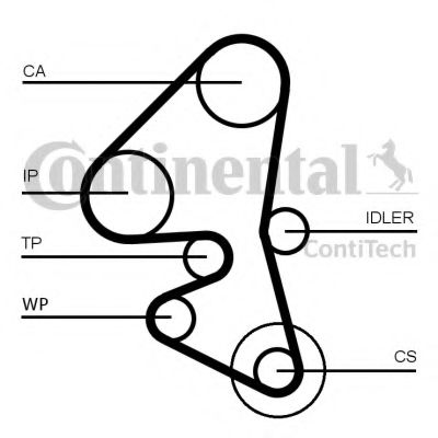 CONTITECH CT1162WP1