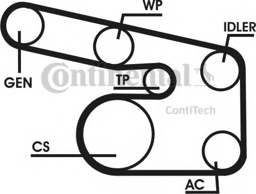 CONTITECH 6PK1863D1