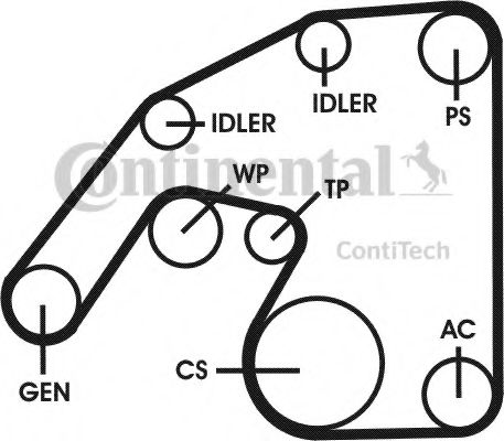 CONTITECH 6PK2260D2