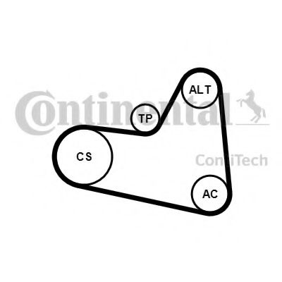 CONTITECH 6PK976K1