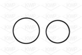 KWP 101036