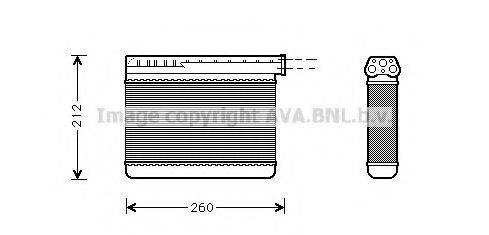 PRASCO BW6166