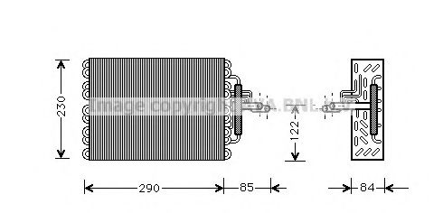 PRASCO CNV016