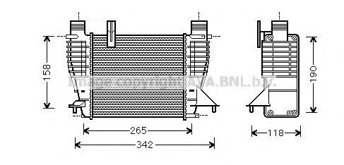 PRASCO DNA4356