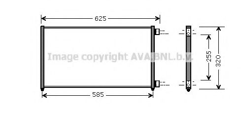 PRASCO FTA5256