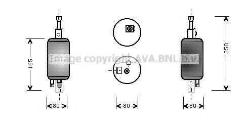 PRASCO FTD029