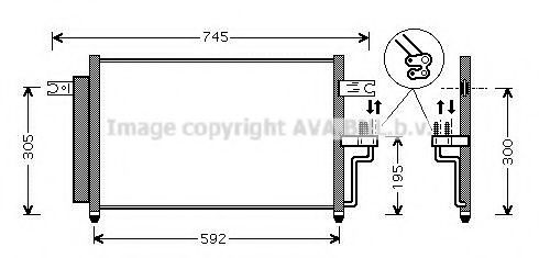 PRASCO HYA5082D