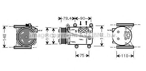 PRASCO JRK034