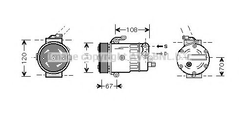 PRASCO OLK319