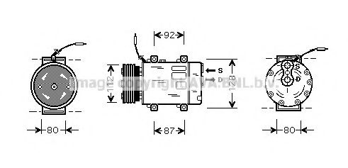 PRASCO RTK286