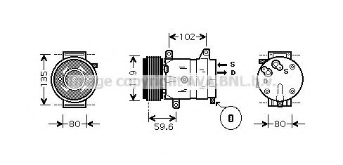 PRASCO RTK385