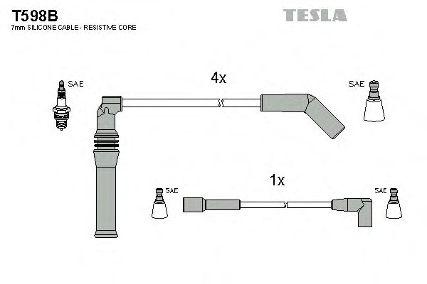 TESLA T598B