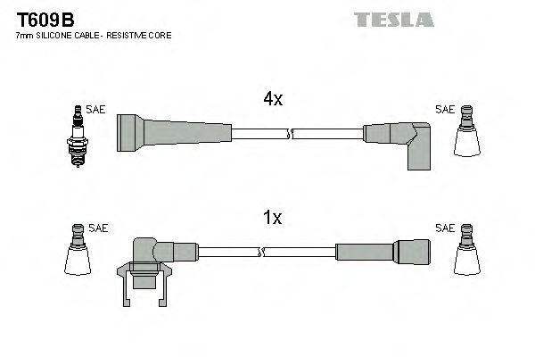 TESLA T609B