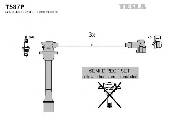 TESLA T587P