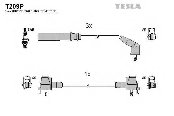 TESLA T209P