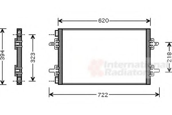 VAN WEZEL 43005294