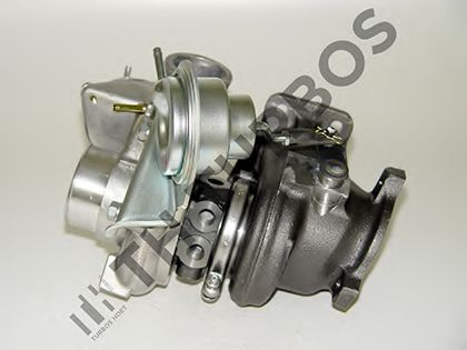 TURBO' S HOET 1101067