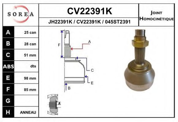 EAI CV22391K