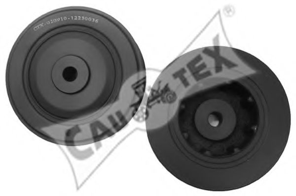 CAUTEX 020910